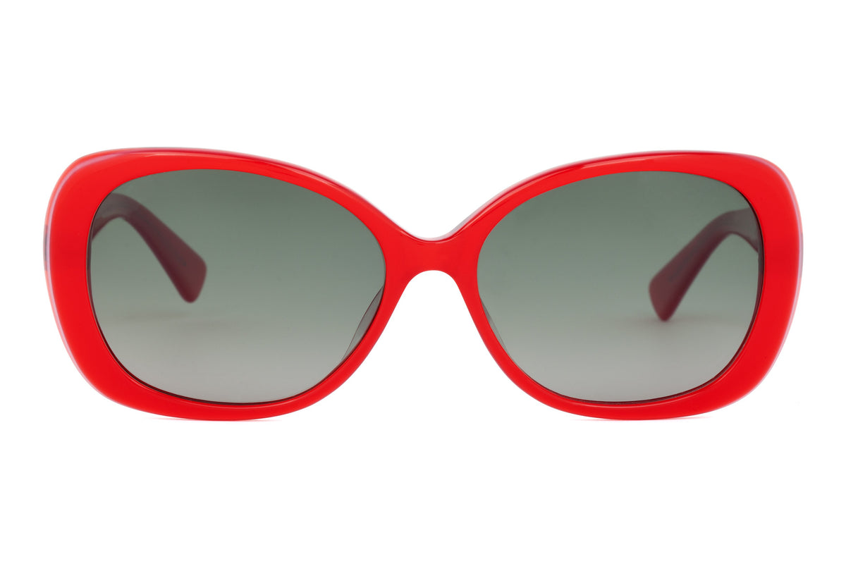 Cecelia Sunglasses - Paul Taylor Eyewear