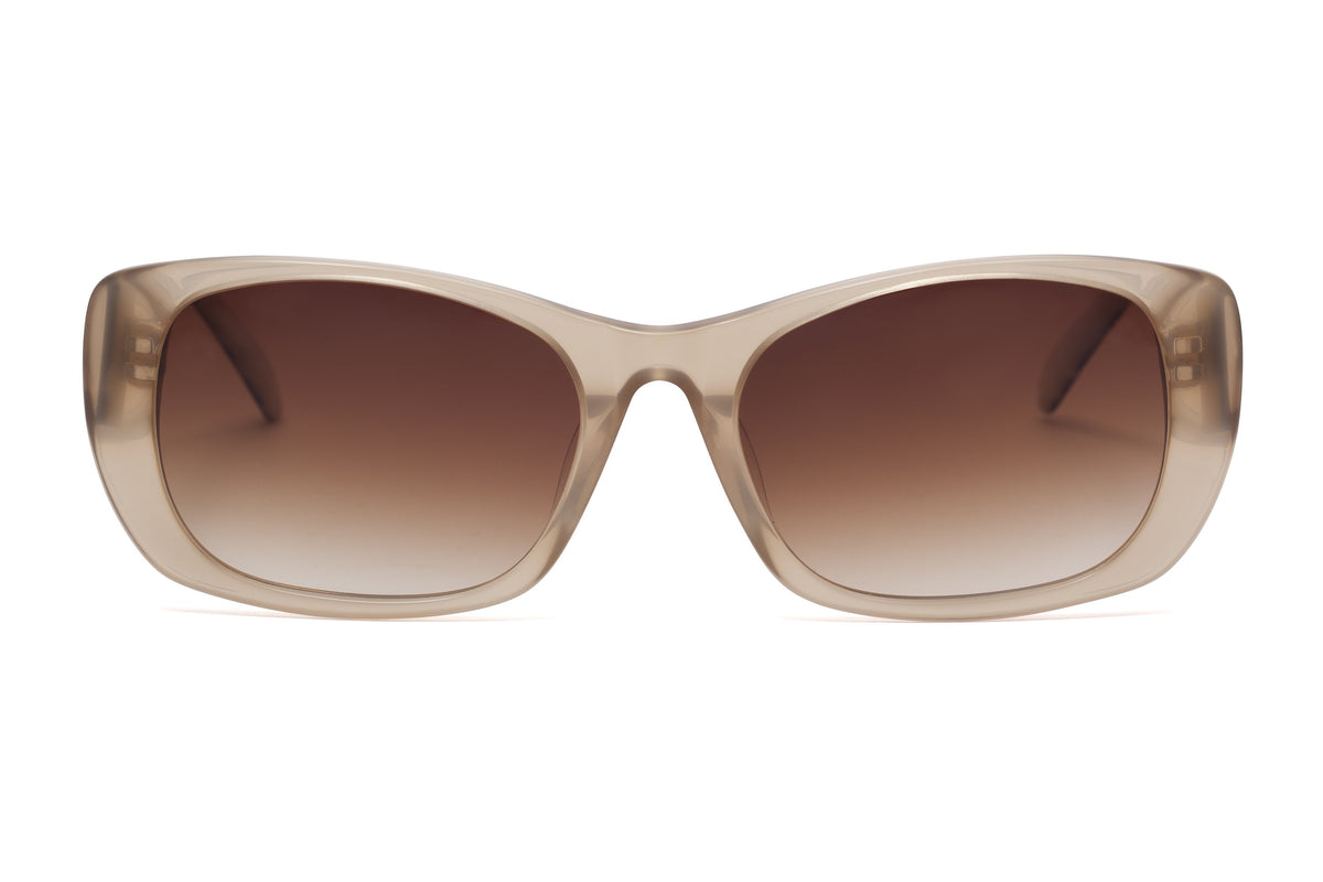 Mohlee Sunglasses SALE - Paul Taylor Eyewear