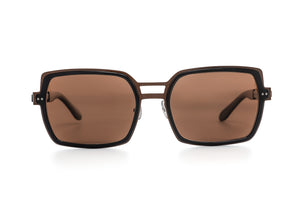 M100/BR POLARISED Chocolate Brown STAINLESS STEEL with Black ACETATE