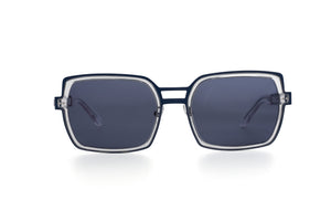 S000/BLU POLARISED Grey STAINLESS STEEL with Crystal Clear ACETATE