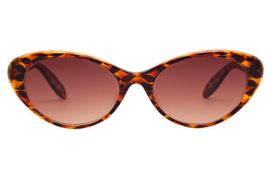 M55 Chocolate Amber Tortoiseshell