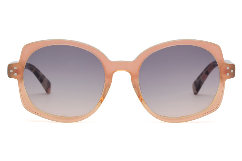 RACHELLE Sunglasses SALE