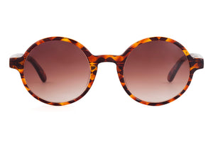M55 Chocolate Amber Tortoiseshell